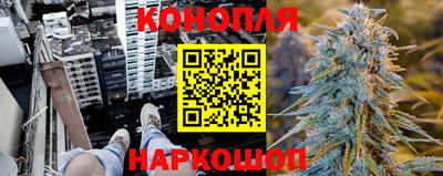 шишки Нальчик