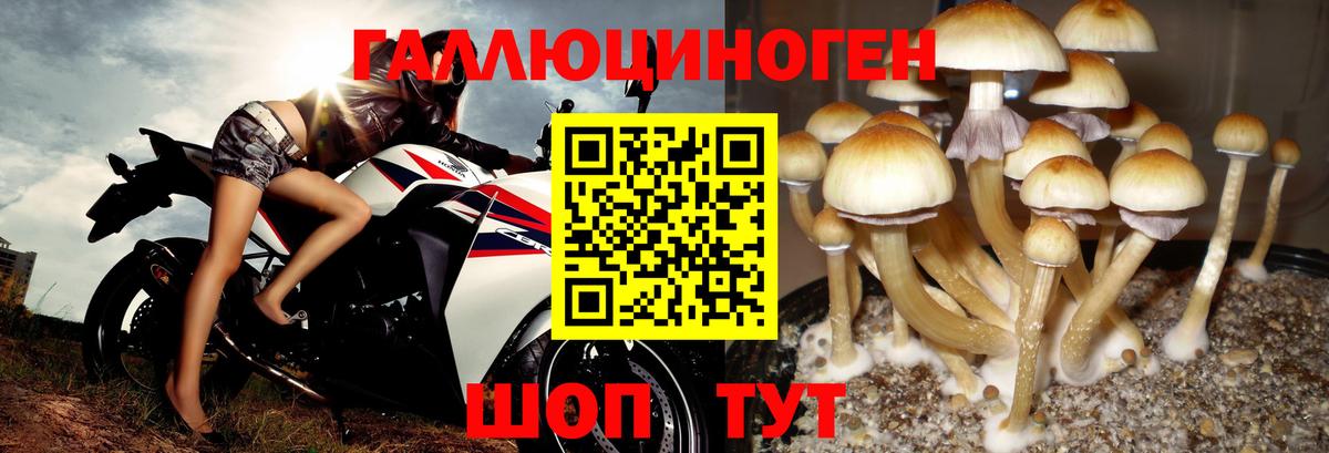 Галлюциногенные грибы ЛСД Сокол